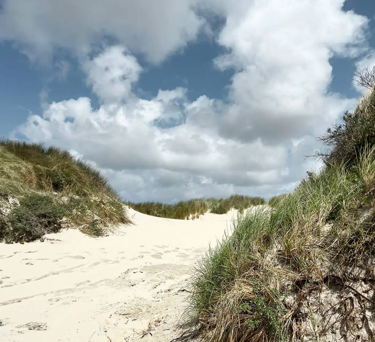Sanddüne an der Nordsee mit weissen Wolken und blauem Himmel